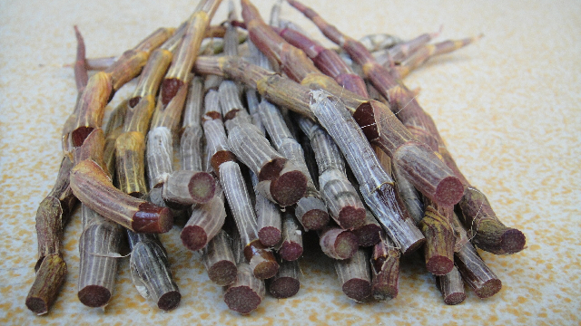 预售-龙陵紫皮石斛-500克装包邮